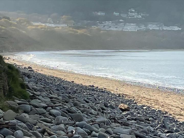 Villa Swn Y Don New Quay New Quay  Esterno foto